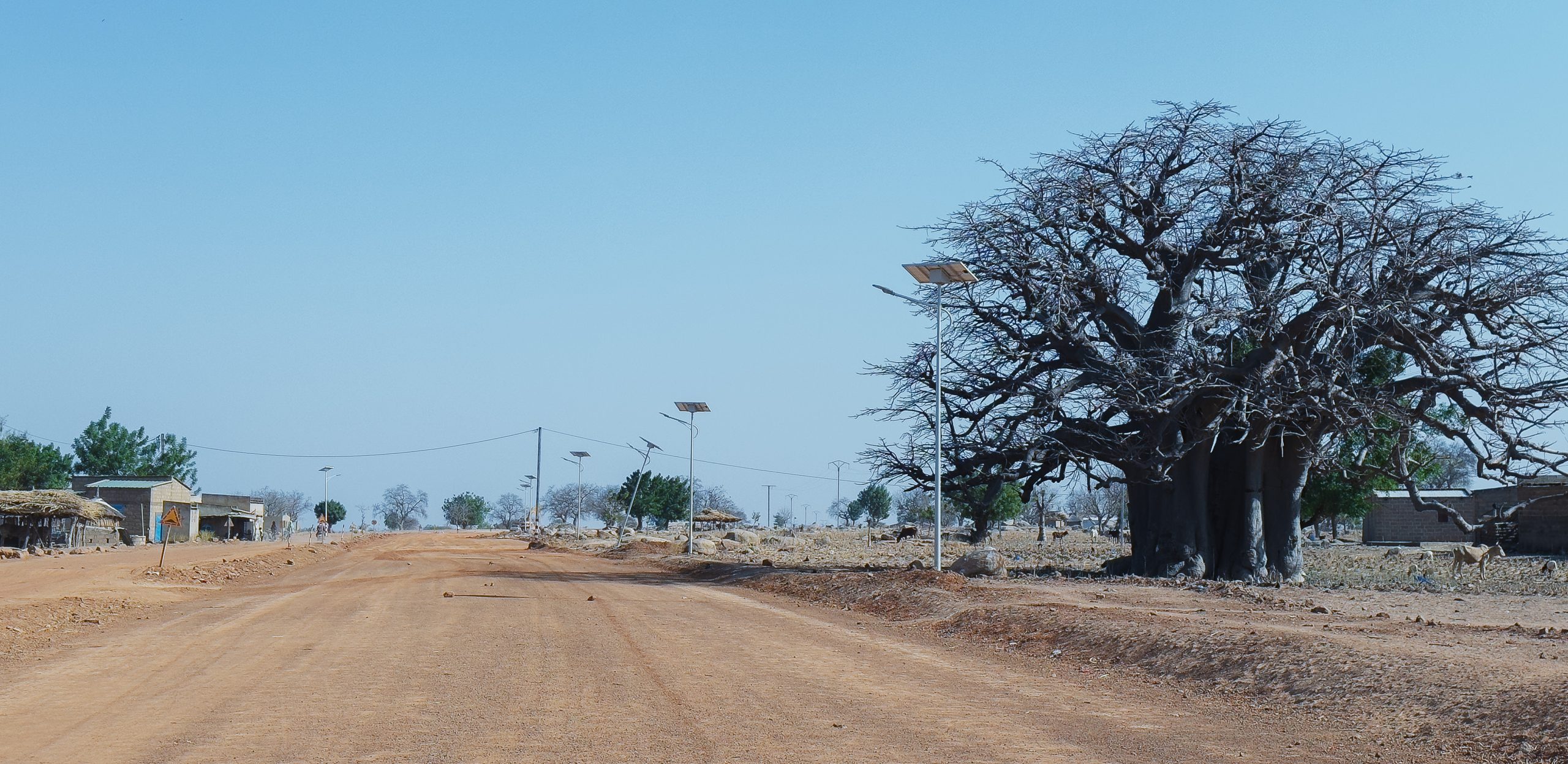 Coordination et gouvernance